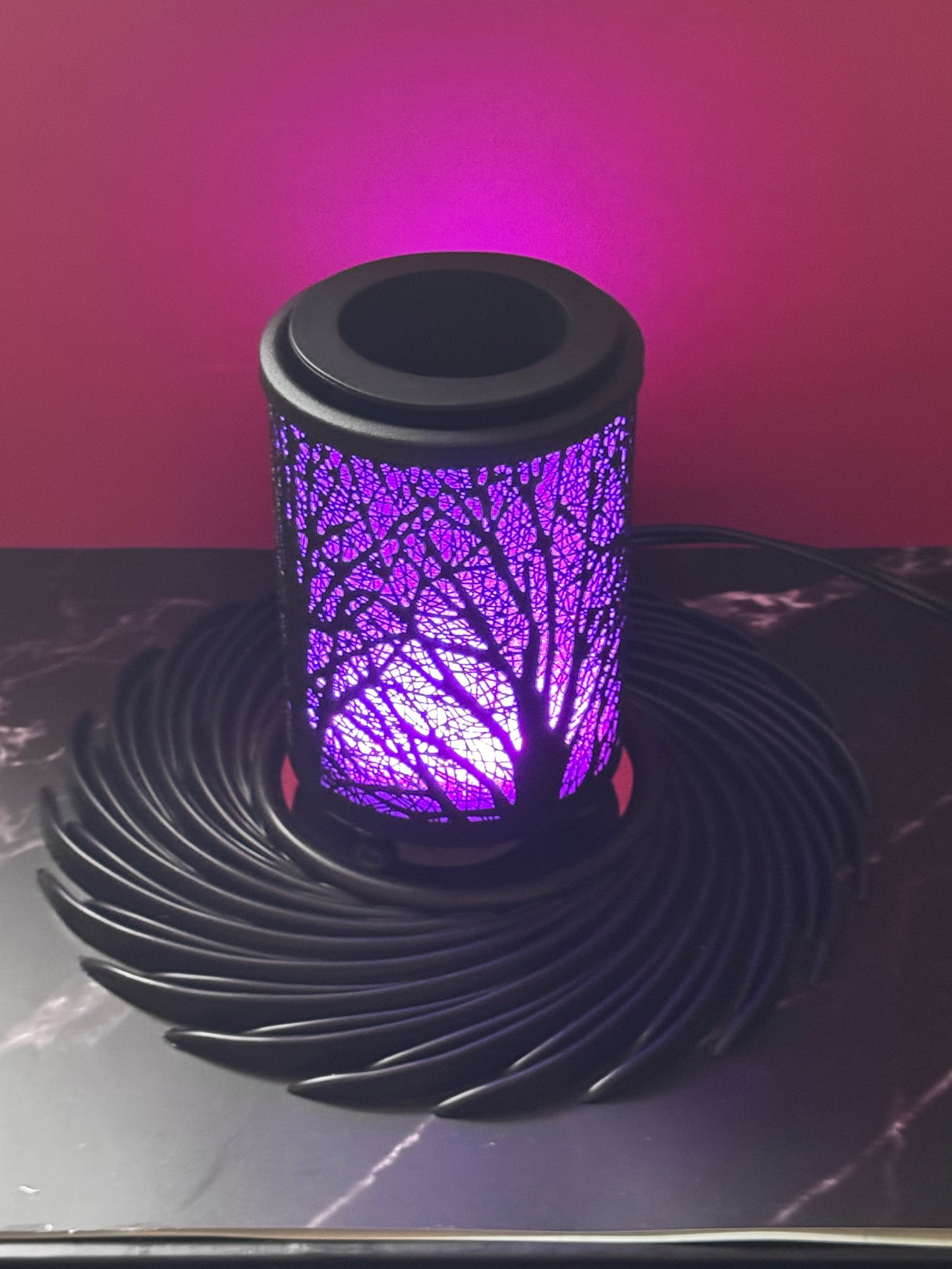 Electric Wax Melter